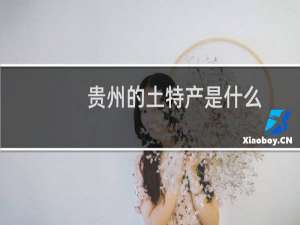贵州的土特产是什么