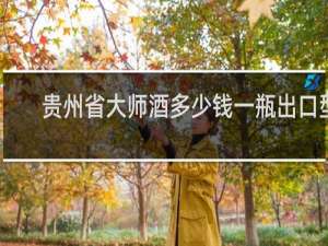 贵州省大师酒多少钱一瓶出口型