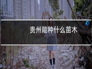 贵州能种什么苗木