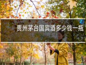 贵州茅台国宾酒多少钱一瓶