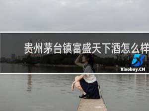贵州茅台镇富盛天下酒怎么样