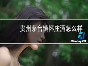 贵州茅台镇怀庄酒怎么样