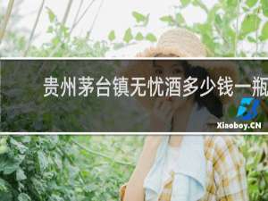 贵州茅台镇无忧酒多少钱一瓶