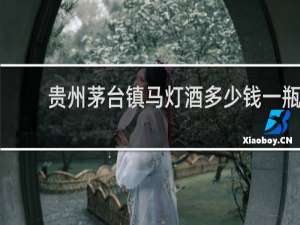 贵州茅台镇马灯酒多少钱一瓶