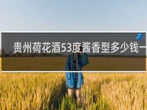 贵州荷花酒53度酱香型多少钱一瓶