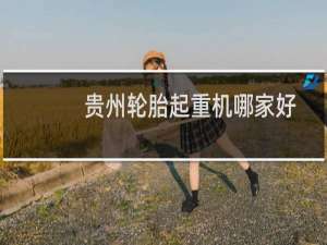 贵州轮胎起重机哪家好