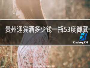 贵州迎宾酒多少钱一瓶53度御藏一号