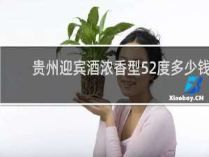 贵州迎宾酒浓香型52度多少钱