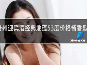 贵州迎宾酒经典地蕴53度价格酱香型多少钱