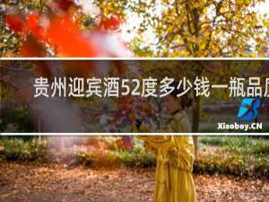 贵州迎宾酒52度多少钱一瓶品质