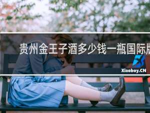 贵州金王子酒多少钱一瓶国际版