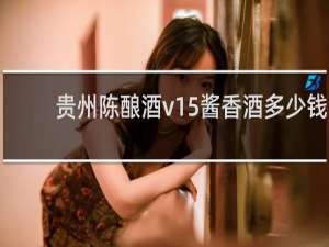 贵州陈酿酒v15酱香酒多少钱