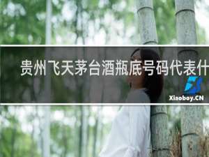 贵州飞天茅台酒瓶底号码代表什么