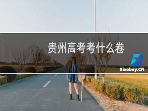 贵州高考考什么卷