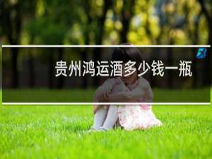 贵州鸿运酒多少钱一瓶