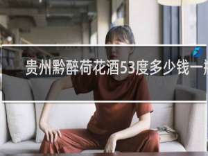 贵州黔醉荷花酒53度多少钱一瓶