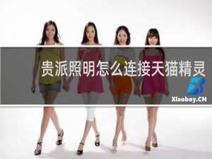 贵派照明怎么连接天猫精灵