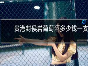 贵港封侯岩葡萄酒多少钱一支
