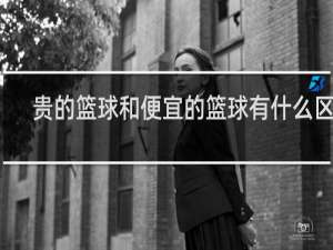 贵的篮球和便宜的篮球有什么区别