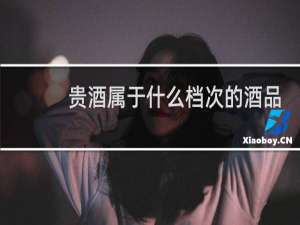 贵酒属于什么档次的酒品