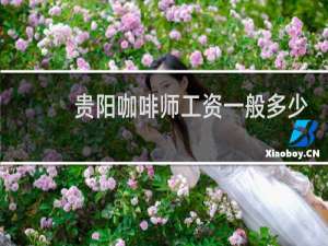 贵阳咖啡师工资一般多少