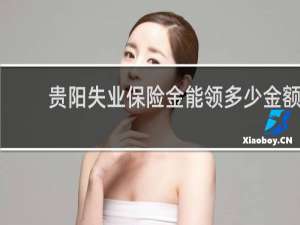 贵阳失业保险金能领多少金额