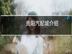 贵阳汽配城介绍