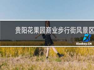 贵阳花果园商业步行街风景区