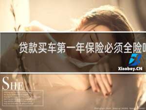 贷款买车第一年保险必须全险吗