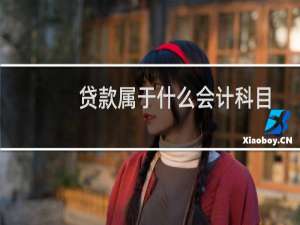 贷款属于什么会计科目