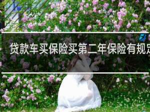 贷款车买保险买第二年保险有规定吗