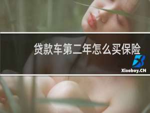 贷款车第二年怎么买保险
