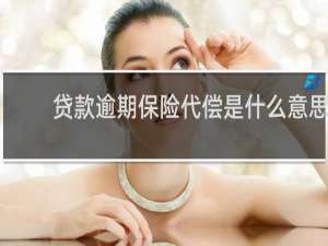贷款逾期保险代偿是什么意思