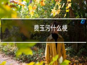 费玉污什么梗