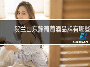 贺兰山东麓葡萄酒品牌有哪些