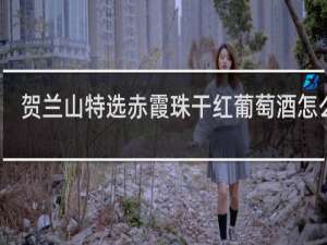 贺兰山特选赤霞珠干红葡萄酒怎么样