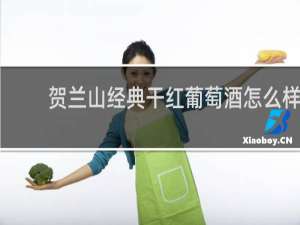 贺兰山经典干红葡萄酒怎么样
