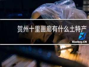 贺州十里画廊有什么土特产