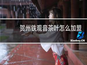 贺州铁观音茶叶怎么加盟