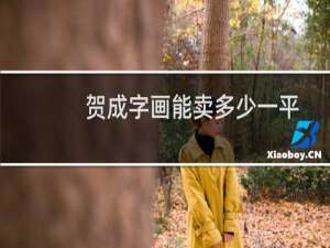 贺成字画能卖多少一平
