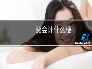 贾会计什么梗