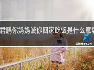 贾君鹏你妈妈喊你回家吃饭是什么意思什么梗