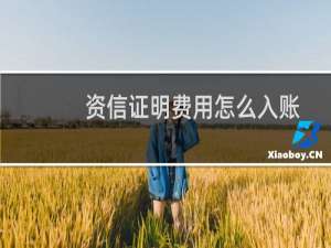 资信证明费用怎么入账（资信证明手续费计入什么科目）