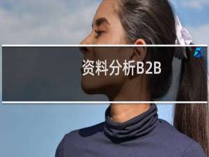 资料分析B2B