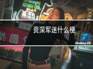 资深军迷什么梗