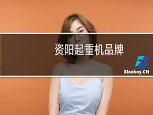资阳起重机品牌