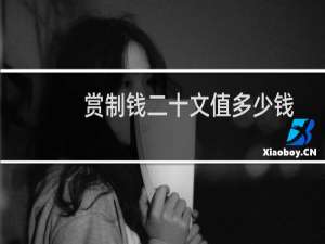 赏制钱二十文值多少钱