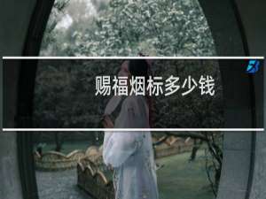 赐福烟标多少钱