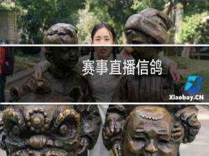 赛事直播信鸽