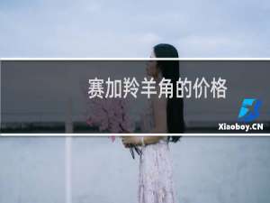 赛加羚羊角的价格